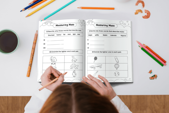 Math Worksheet Bundle for Kids, 500+ Pages Printable Math Activities, Preschool to Grade 3, Editable AI & PDF Files, Homeschool Resource